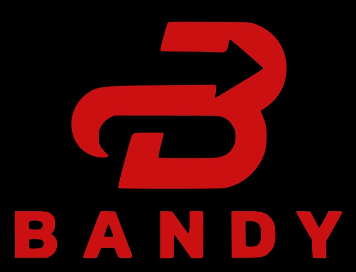 PLASTICOS BANDY